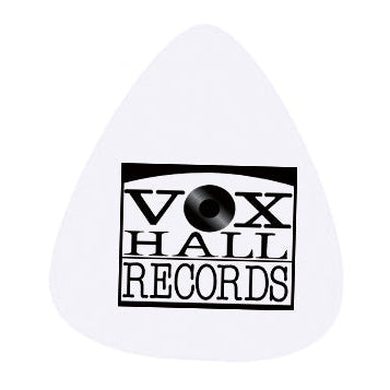 VHR Guitar Picks